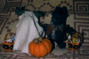 halloween.gif (22907 bytes)
